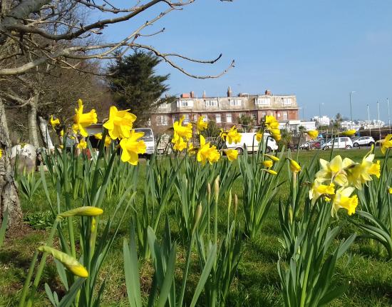 Spring at The Livermead