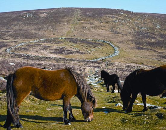 Dartmoor